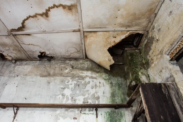 Water Damage Service in Orland Park