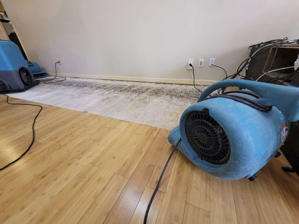 Water Damage Mitigation in Orland Park