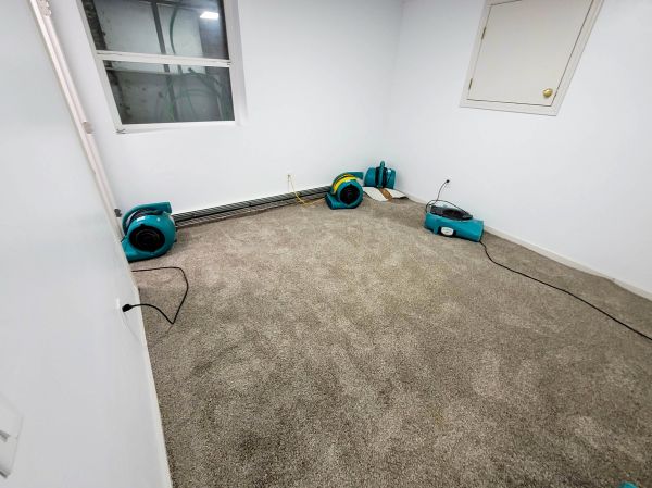 Flood Restoration Service in Orland Park