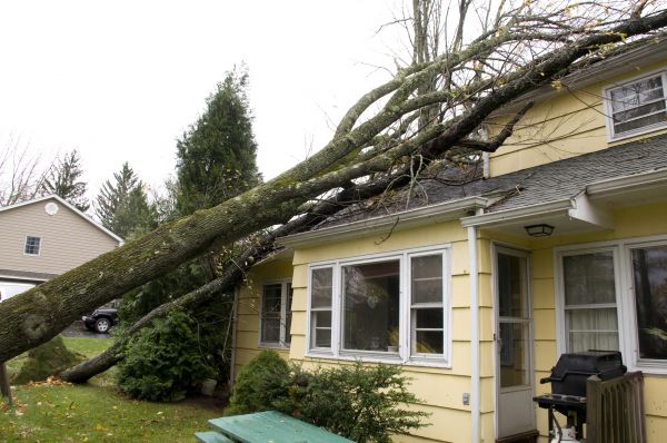 Hurricane Damage Repair in Orland Park